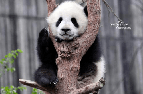 机床小百科——“秒懂机床”(16)什么是附件?(图2)