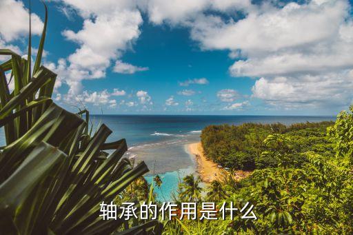 轴承是什么轴承是什么?可分为哪几种?(图3)