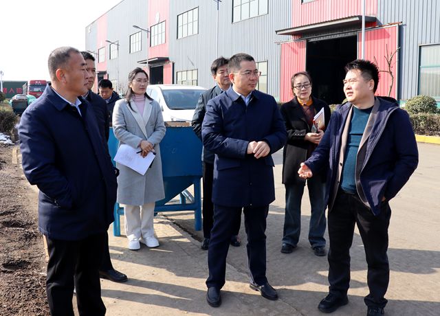 张波带队到辖区调研重点项目建设工作彩神(图2)